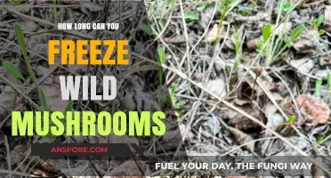 Freezing Wild Mushrooms: Optimal Storage Duration and Preservation Tips
