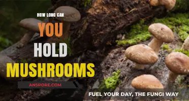 Maximizing Mushroom Freshness: Optimal Storage Tips and Shelf Life
