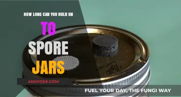 Maximizing Spore Jar Shelf Life: Storage Tips and Longevity Guide