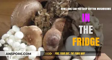 Button Mushrooms in the Fridge: Optimal Storage Time and Tips