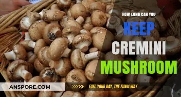 How Long Do Cremini Mushrooms Last? Storage Tips & Shelf Life