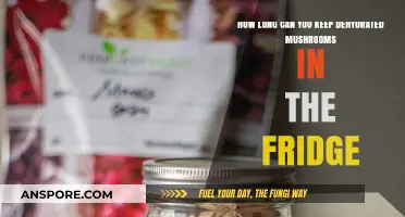 Dehydrated Mushrooms in the Fridge: Optimal Storage Duration Explained