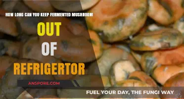 Fermented Mushrooms: Safe Storage Duration Without Refrigeration Explained