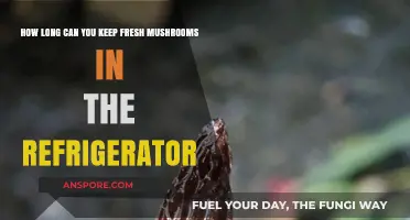 Fresh Mushrooms in the Fridge: Optimal Storage Time Explained