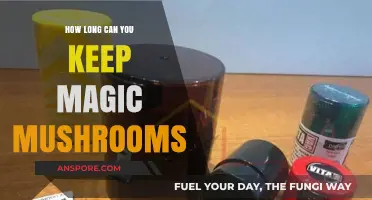 Magic Mushrooms Shelf Life: Storage Tips for Longevity and Potency