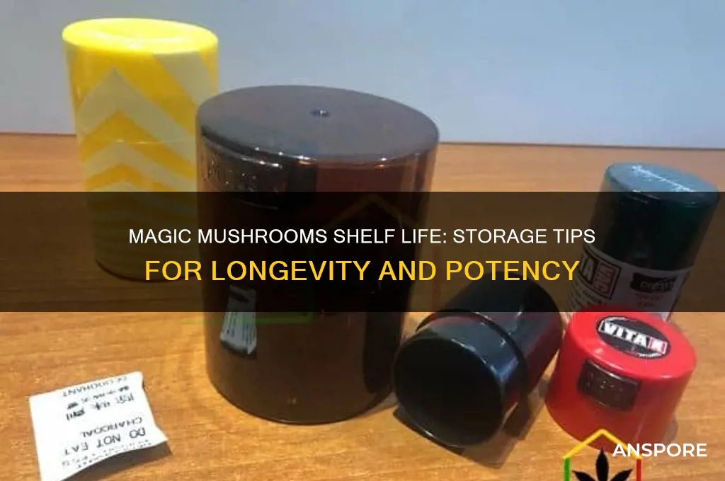 how long can you keep magic mushrooms
