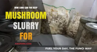 Mushroom Slurry Storage: Shelf Life and Preservation Tips