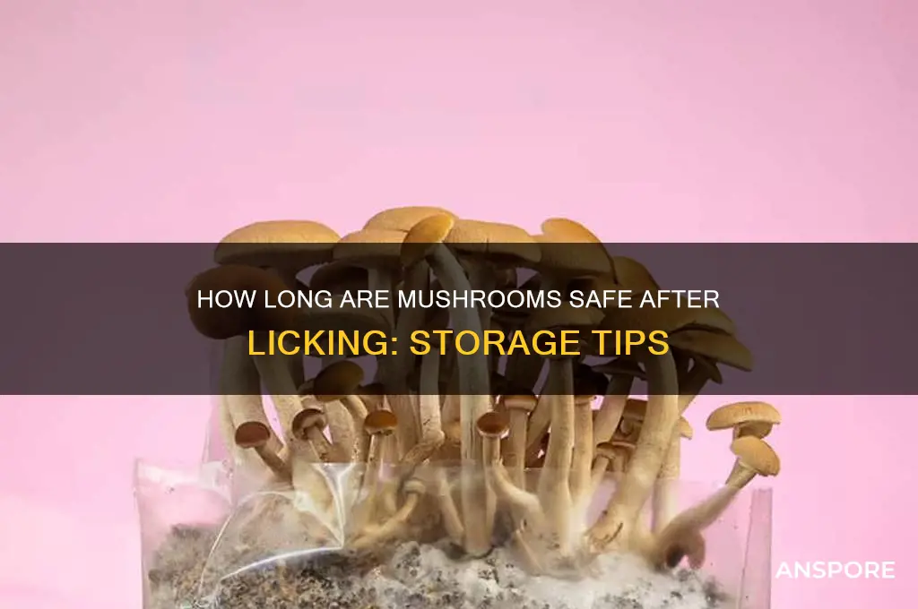 how long can you keep mushrooms after lickkng