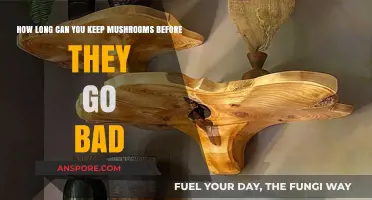 Shelf Life Secrets: How Long Do Mushrooms Stay Fresh?