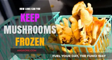 Maximizing Mushroom Freshness: Optimal Frozen Storage Duration Explained