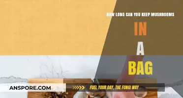 Maximizing Mushroom Freshness: Optimal Storage Time in a Bag