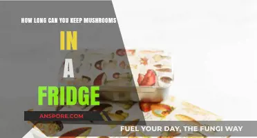 Maximizing Freshness: Optimal Fridge Storage Time for Mushrooms