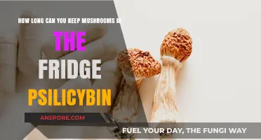 Storing Psilocybin Mushrooms: Optimal Fridge Shelf Life Explained