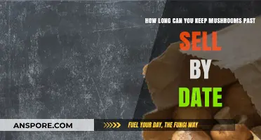 Mushroom Shelf Life: How Long After Sell-By Date Are They Safe?