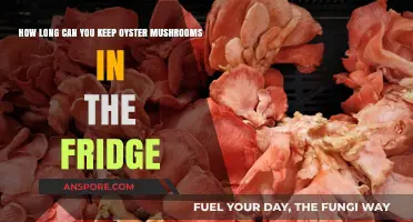 Storing Oyster Mushrooms: Optimal Fridge Shelf Life Explained