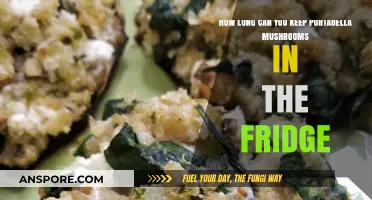 Portabella Mushrooms Shelf Life: Fridge Storage Tips and Duration