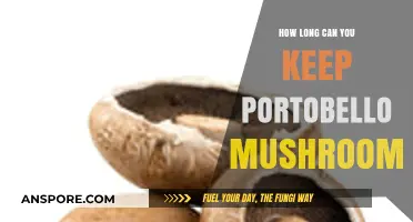 Portobello Mushrooms Storage: How Long Can You Keep Them Fresh?