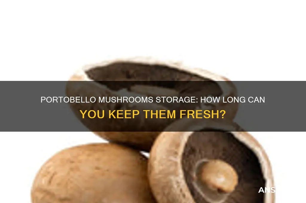 how long can you keep portobello mushrooms