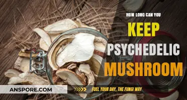 Psychedelic Mushrooms: Shelf Life and Storage Tips for Longevity