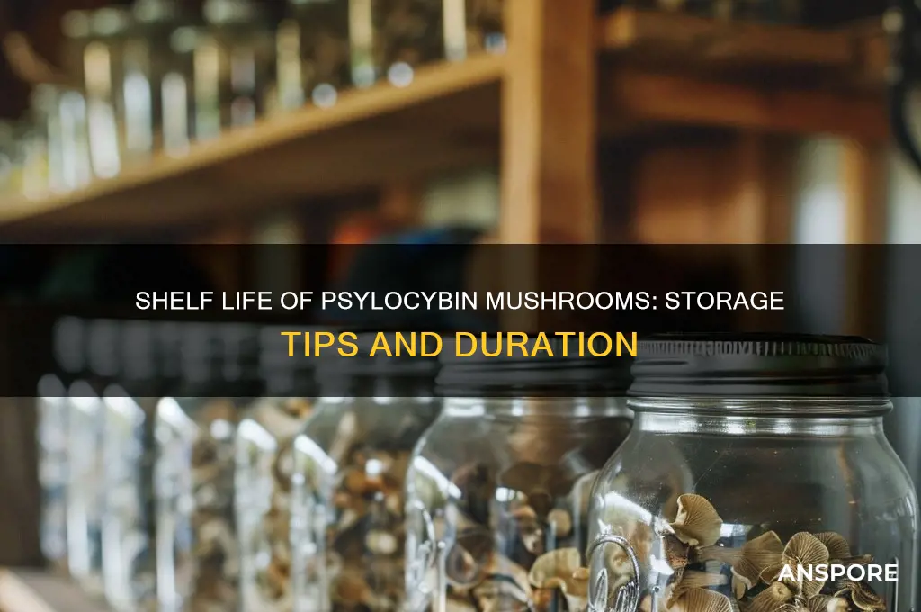 how long can you keep psylocybin mushrooms
