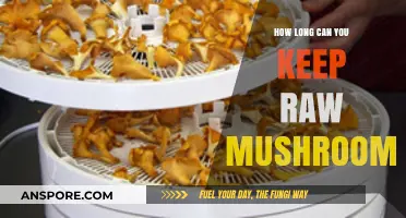 Freshness Guide: How Long Can You Store Raw Mushrooms?
