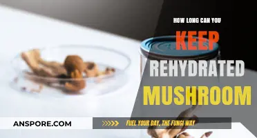 Rehydrated Mushrooms: Optimal Storage Tips and Shelf Life Explained