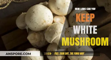 Maximizing Freshness: How Long Can You Keep White Mushrooms?