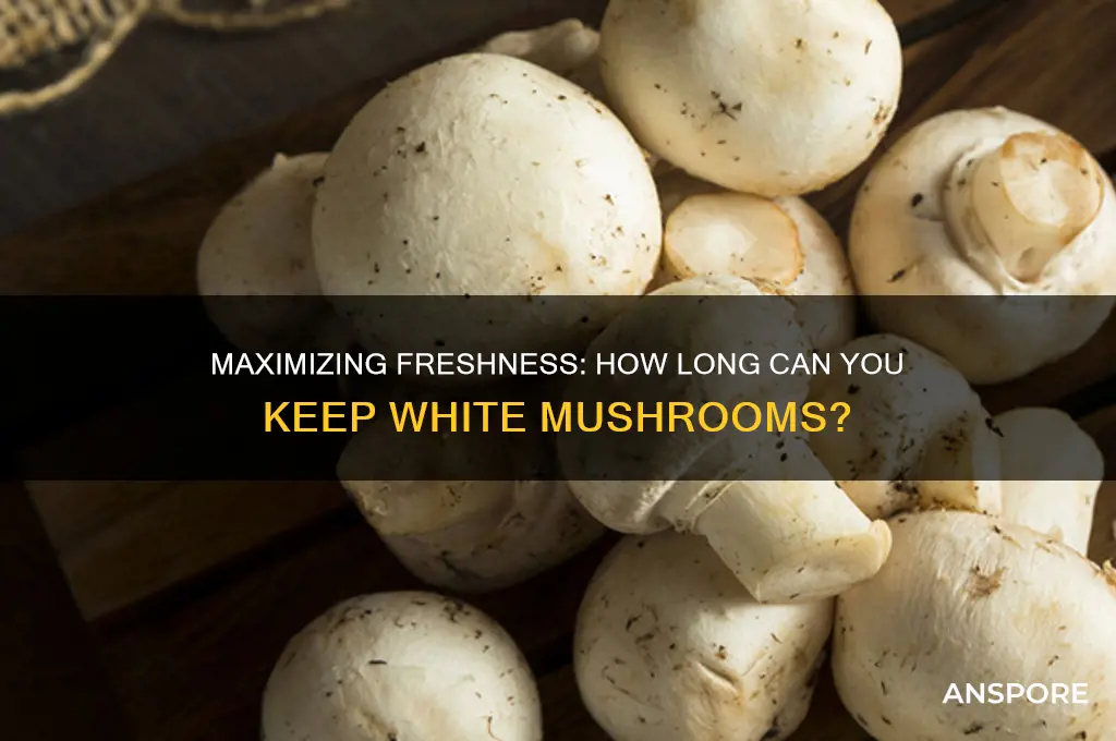 how long can you keep white mushrooms