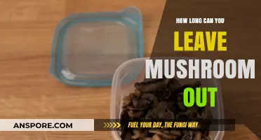 How Long Can Mushrooms Sit Out Safely? Storage Tips
