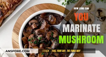 Perfect Mushroom Marinating: Timing Tips for Flavorful, Tender Results
