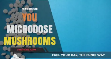 Microdosing Mushrooms: Understanding Safe Duration and Optimal Frequency