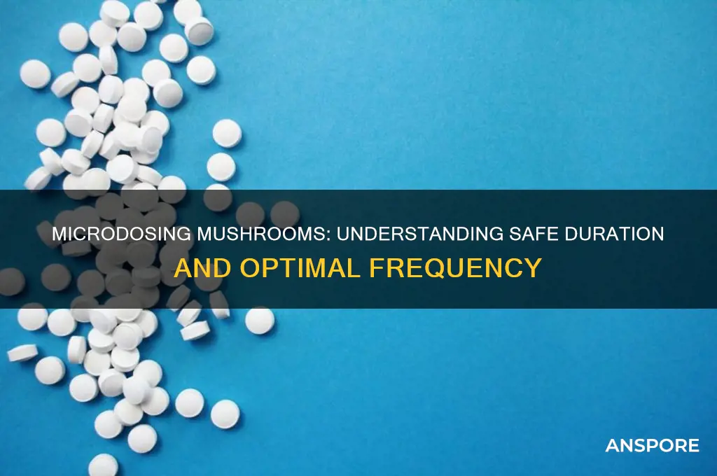 how long can you microdose mushrooms