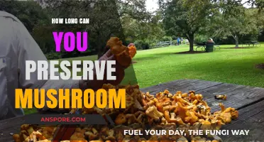 Preserving Mushrooms: Best Methods for Long-Lasting Freshness and Flavor