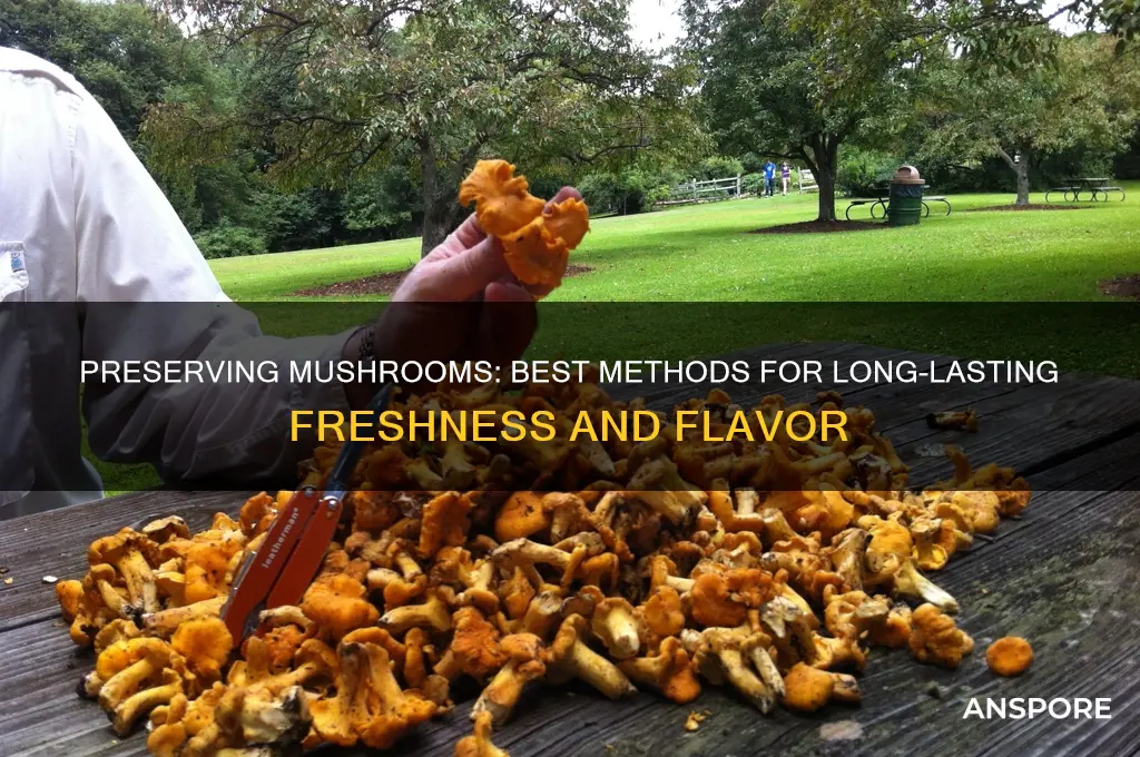 how long can you preserve mushroom