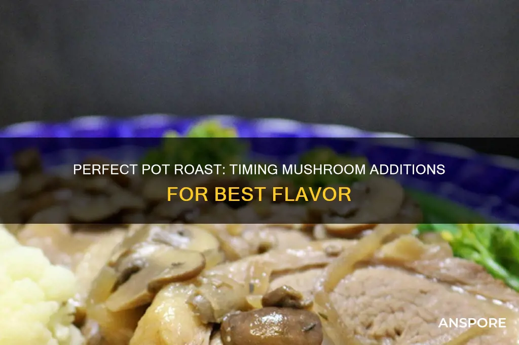 how long can you put mushrooms in pot roast