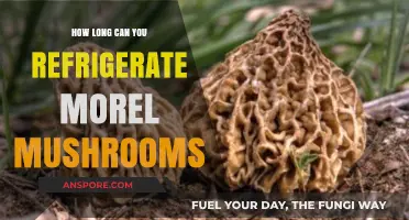 Refrigerating Morel Mushrooms: Optimal Storage Time and Freshness Tips
