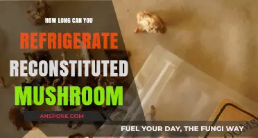 Refrigerating Reconstituted Mushrooms: Optimal Storage Time and Tips