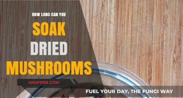 Soaking Dried Mushrooms: Optimal Time for Perfect Texture and Flavor