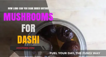 Perfect Dashi: Optimal Soaking Time for Dried Shiitake Mushrooms