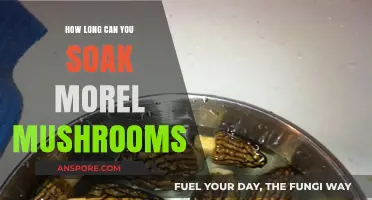 Soaking Morel Mushrooms: Optimal Time for Perfect Texture and Flavor