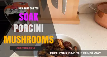 Perfect Porcini Soaking: Optimal Time for Rich, Earthy Flavor
