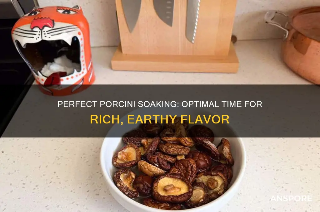 how long can you soak porcini mushrooms