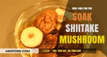 Perfect Shiitake Soaking: Optimal Time for Flavor and Texture
