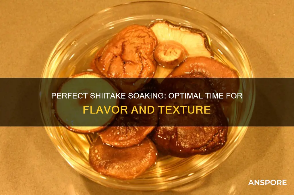 how long can you soak shiitake mushrooms