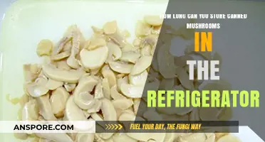 Storing Canned Mushrooms: Refrigerator Shelf Life and Freshness Tips