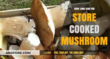 Maximizing Freshness: Optimal Storage Time for Cooked Mushrooms Explained