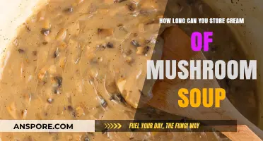 Cream of Mushroom Soup Storage: Shelf Life and Preservation Tips