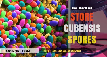 Cubensis Spores Storage: Maximizing Longevity and Viability Tips