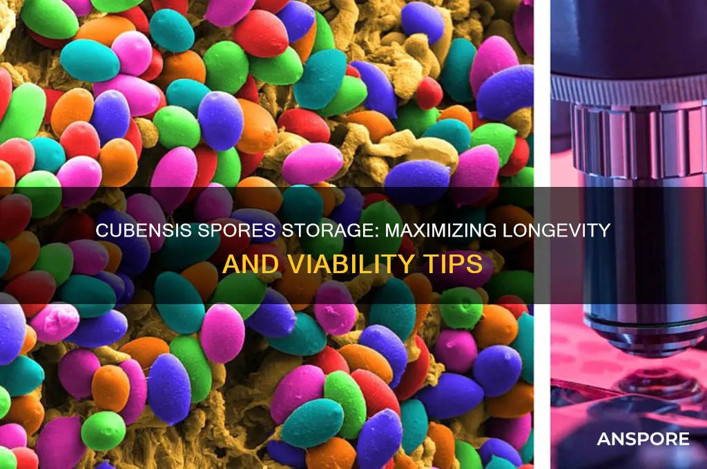 how long can you store cubensis spores