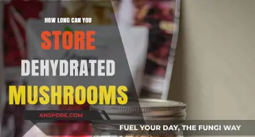 Maximizing Shelf Life: Dehydrated Mushrooms Storage Tips and Duration